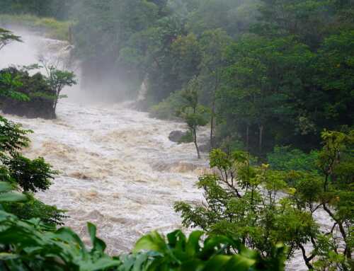 Council Passes Climate Resiliency Legislation Sponsored by Councilmembers Luedtke, Friedson and Glass