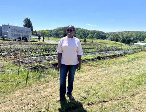 Flower farm turns to climate-smart solutions amid changing weather