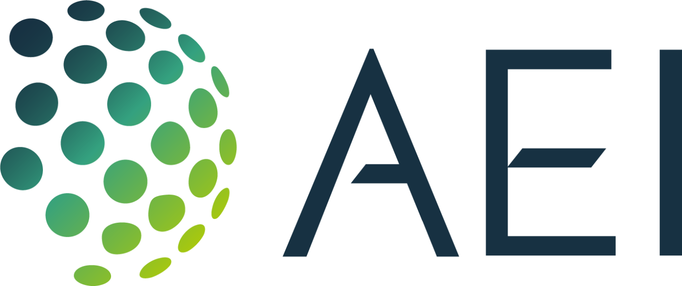 AEI Logo Full Color